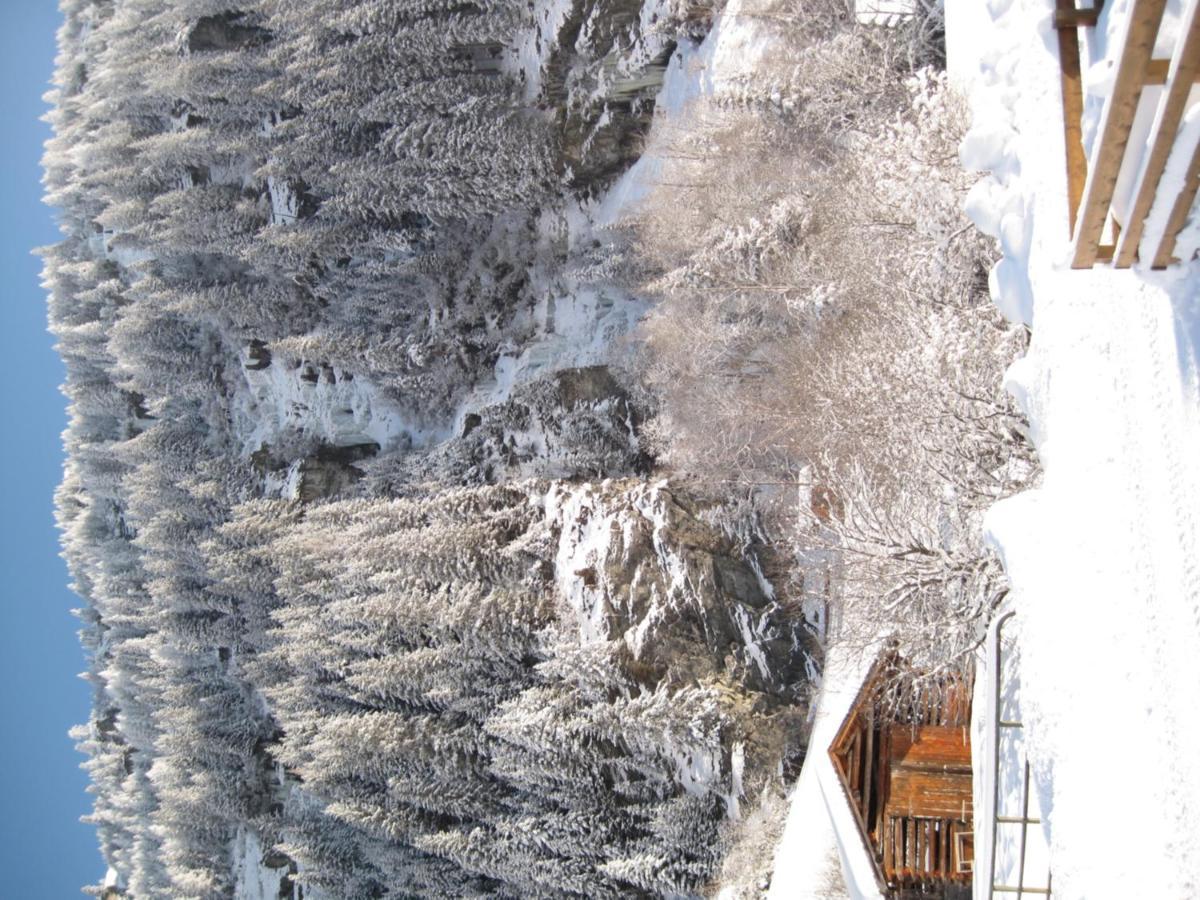 Alpina Appartement Sankt Leonhard im Pitztal Dış mekan fotoğraf