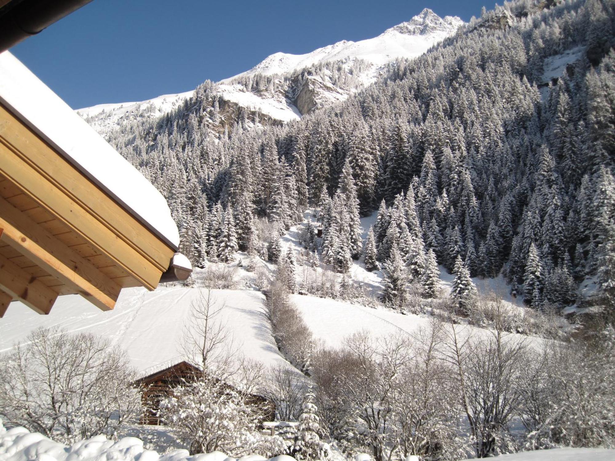 Alpina Appartement Sankt Leonhard im Pitztal Dış mekan fotoğraf